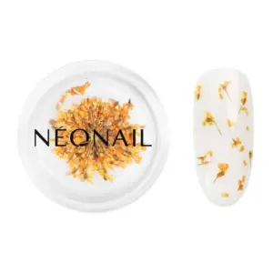 Dekorativno cvijeće za Nail Art NeoNail - 03 Orange (X)