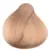 Apricot 10.43