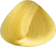 Giallo Mimosa