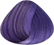 Glicine