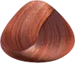Rosa Antico