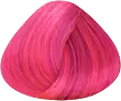 Rosa Bubble Gum