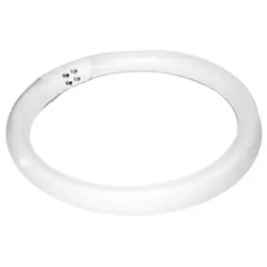 Sijalica za lupa lampu Weelko WKL002