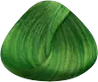 Verde Mojito