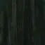 Korektor G
