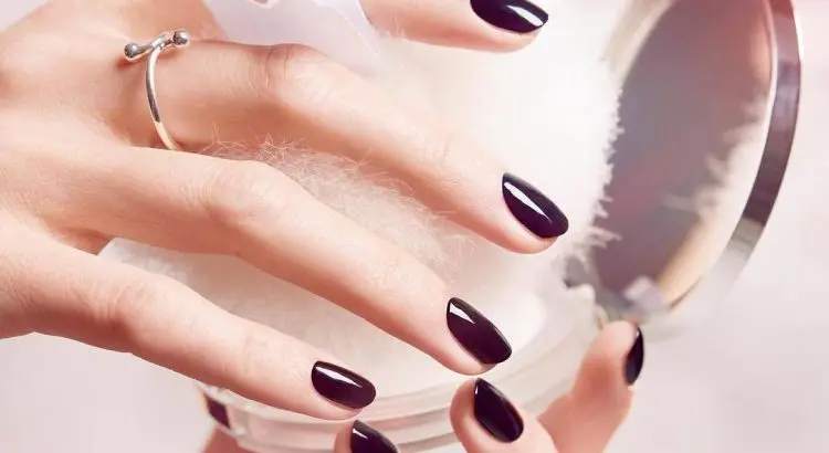 Zašto biramo Shellac i više ne gledamo natrag?