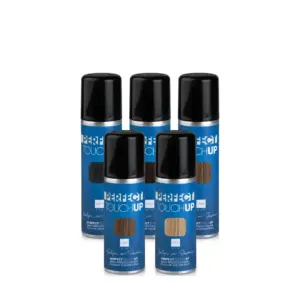 Sprej za izrast kose Perfect Touch Up 75 ml